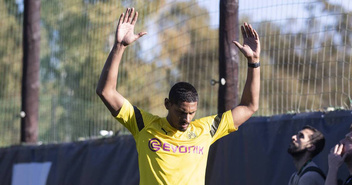 Sébastien Haller in der BVB Startelf Das sagt Trainer Edin Terzic