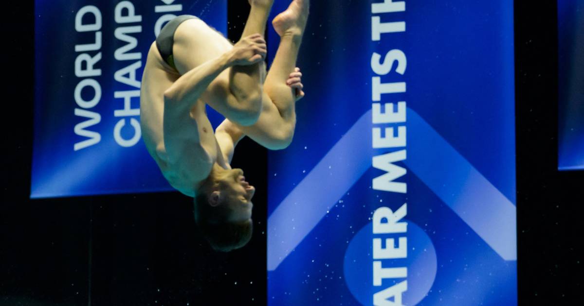 Schwimm WM Pfeif Lube Zehnte Im Mixed Finale Vom Turm