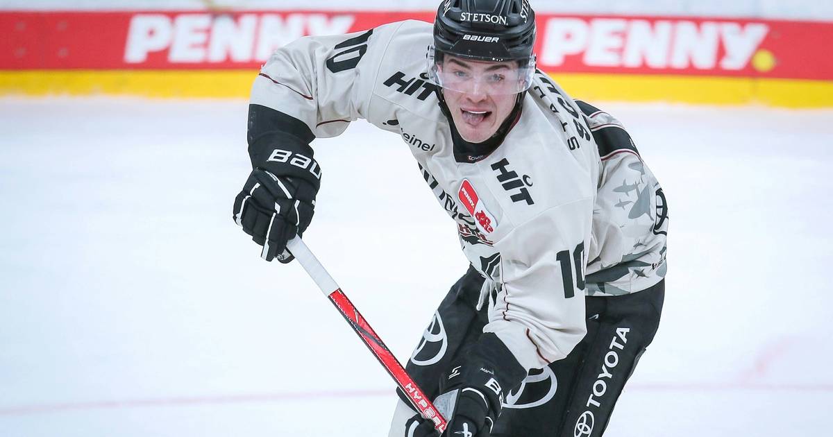 Schütz Show Kölner Haie legen gegen Ingolstadt vor