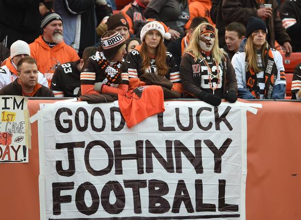 Tierischer Weihnachtsbaum