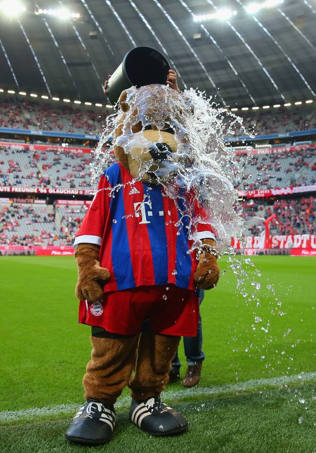 Affen, Menschen, Sensationen