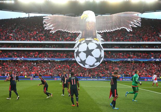 Vogelkunde im Estadio da Luz