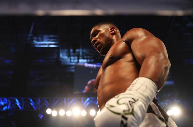 Blut und Stars beim Joshua-Fight