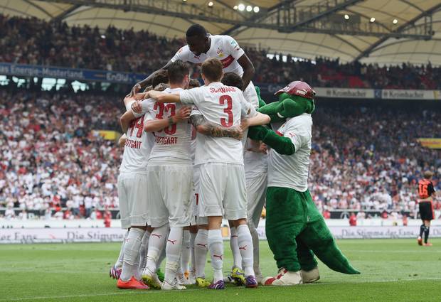 Abstiegskämpfer zwischen Fohlen und Wölfen