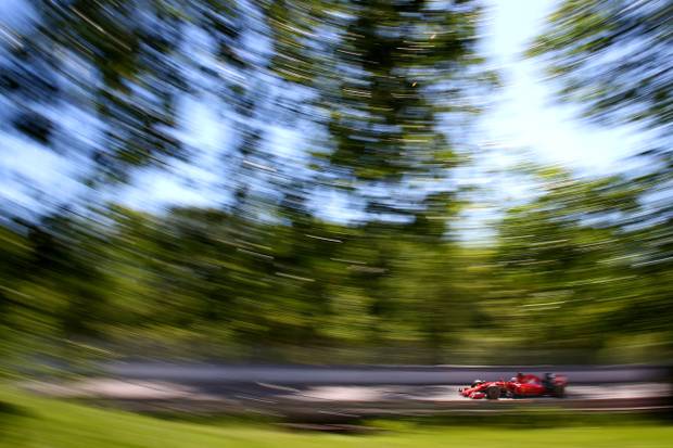 Dieser Nager lebt gefährlich