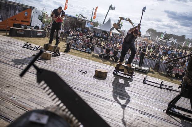 Diese Männer kämpfen um den Holzfäller-Thron