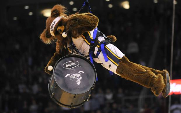 Jazzbär spielt den Blues