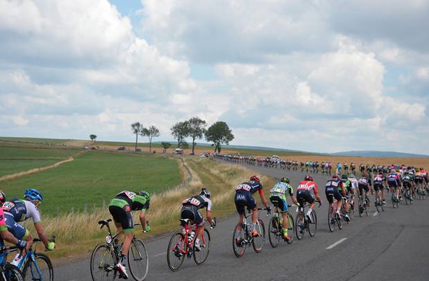 Nur die Kuh schaut nicht zu