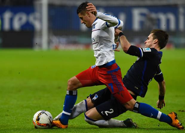 Zwist zwischen Alpha-Tieren