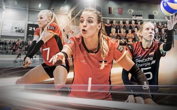 Diese Schmetterlinge wollen den EM-Titel