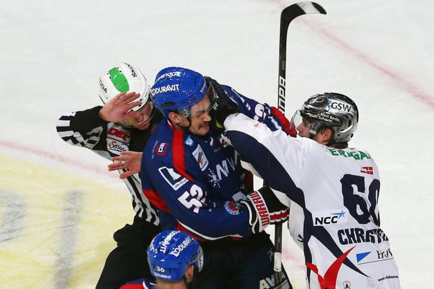 Eisbären gegen Adler: Duell der Serienmeister