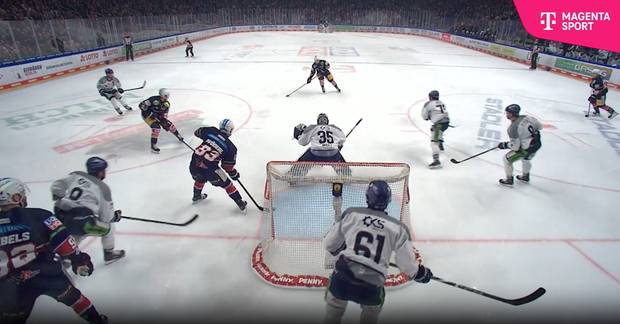 Fischtown und Eisbären heiß
