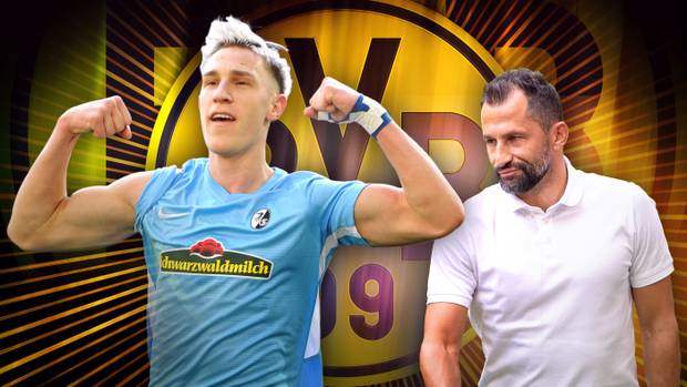 Dieser Mann wird dem BVB helfen