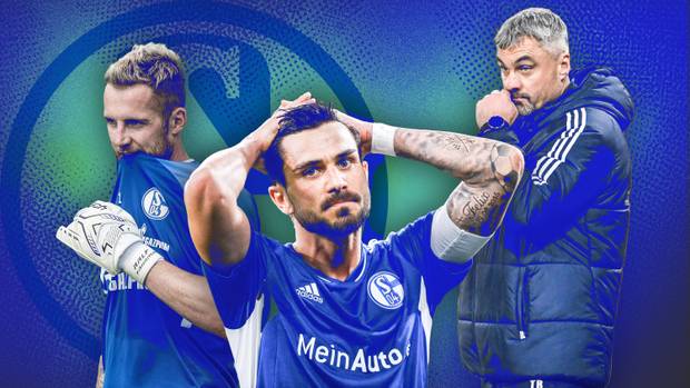 Fix! Schalke holt neuen Stürmer