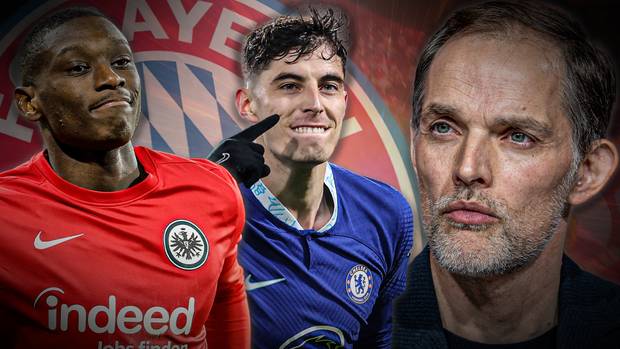 Kolo Muani will zu Bayern!