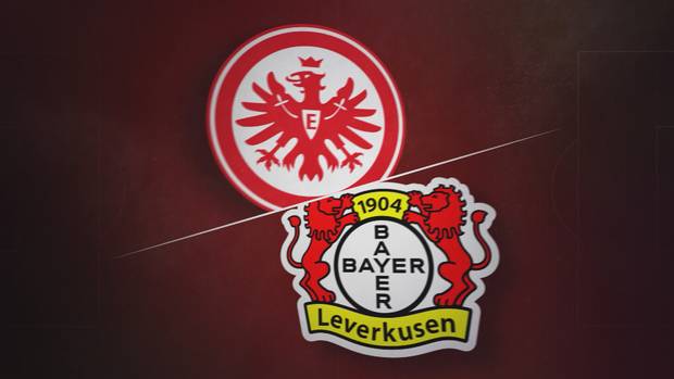 Die Zahlen sprechen für Bayer
