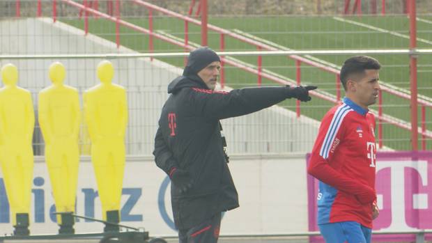 Hamann: Kein Mitleid mit Nagelsmann