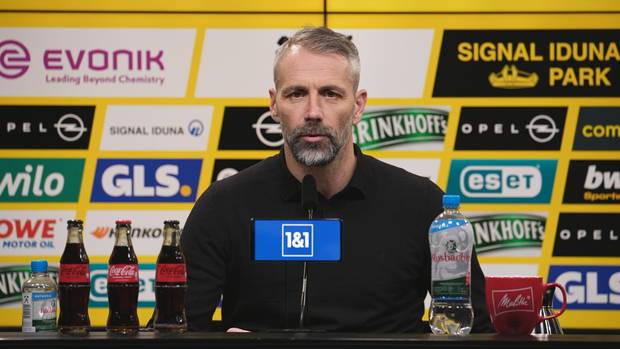BVB-Fan bepöbelt Rose