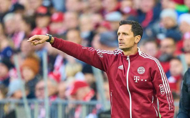 So viel bekommt Bayern für Toppmöller