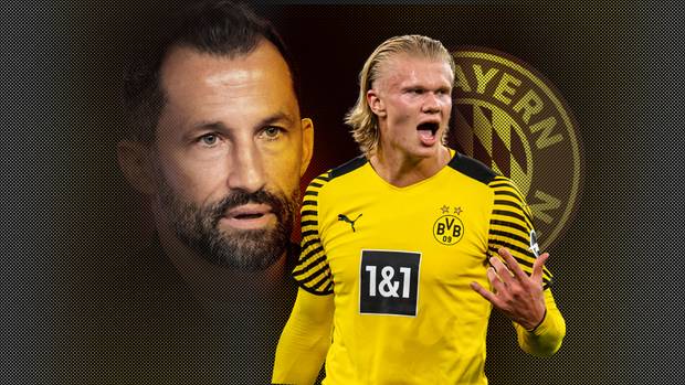 BVB baut zusätzliches Team auf