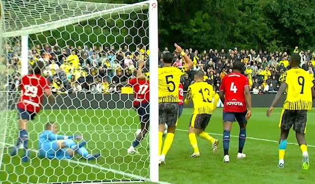 BVB will gegen AfD klagen