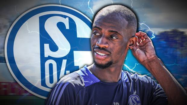 Bittere Schalke-Pleite im Liga-Gipfel
