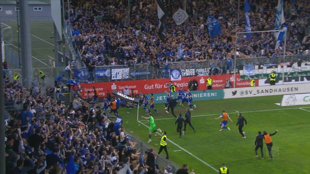 Stevens: „Schalke wieder eine Mannschaft“