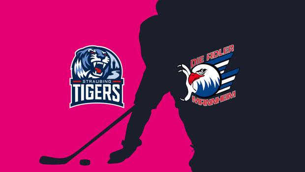 Mannheim-Spiel abgesagt