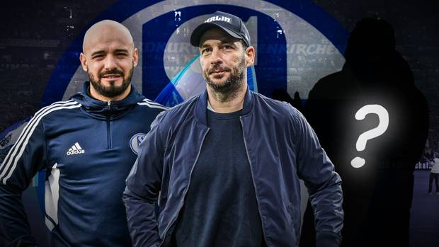 Das sind Schalkes Trainerkandidaten