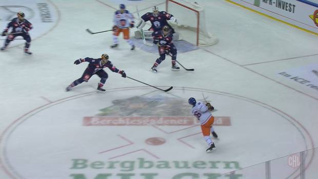 Pinguins feiern Coup – Eisbären gehen unter