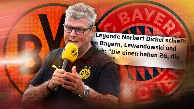 „Haaland ist Wahnsinn“