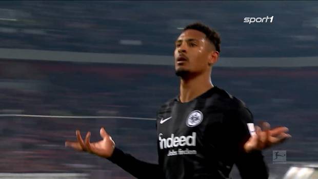 Haller träumt von Büffelherde 2.0