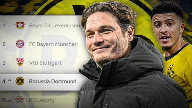 Wirbel um vermeintlichen BVB-Treffer