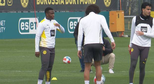 Experte: Trainingsproblem beim BVB