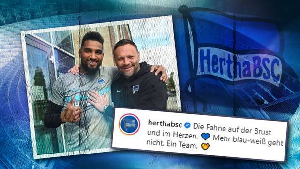 Hertha-Zoff kommt „zur falschen Zeit“