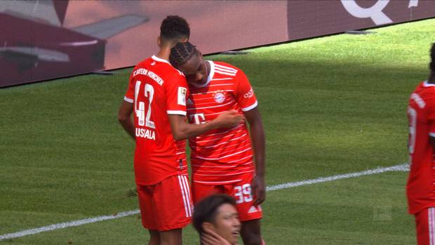 Youngster begeistert Salihamidzic