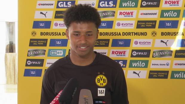 Die Adeyemi-Erlösung
