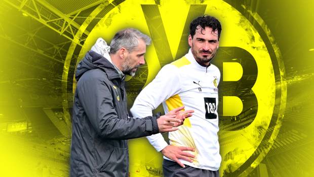 BVB wie gemacht für Hoeneß