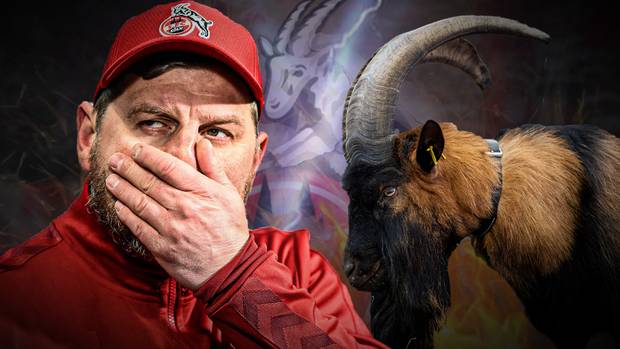 Nach Hammer: Baumgart steht zu Köln