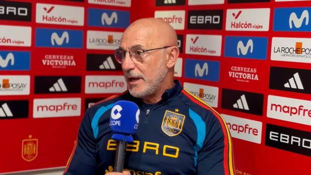 "Äußerst beleidigend!" - Spaniens Trainer erzürnt Rodri-Frage