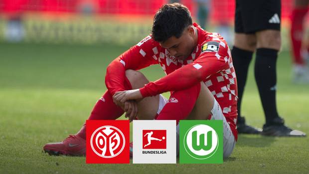Brisanter Bericht zu Zwayer-Spiel