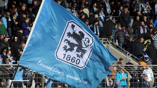 Löwen-Hammer ist amtlich!