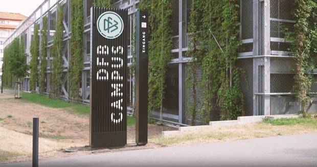 Treten die DFB-Bosse nun auch zurück?