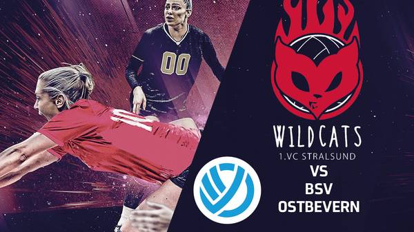 Stralsunder Wildcats - BSV Ostbevern