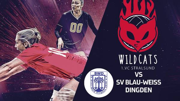 Stralsunder Wildcats - SV Blau-Weiß Dingden