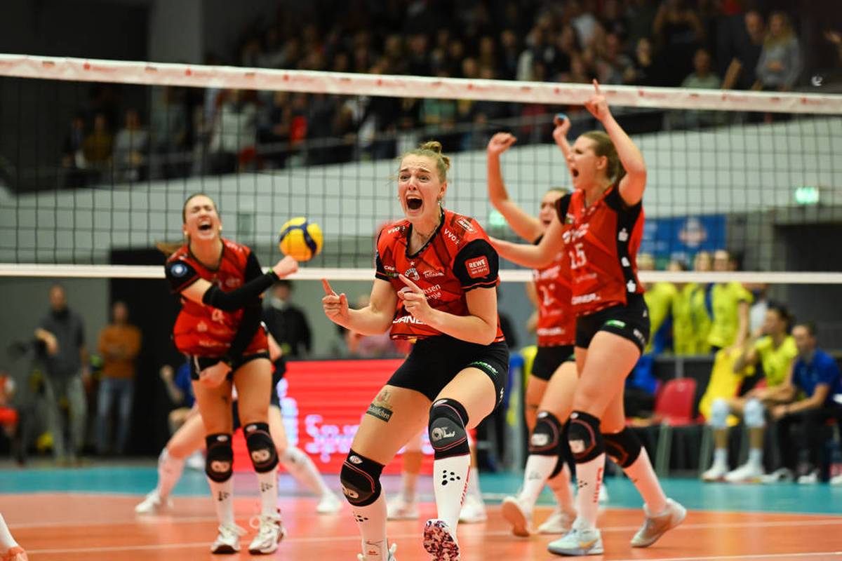 Volleyball Live - Bundesliga: Dresdner SC - Schwarz-Weiß Erfurt, 10. Spieltag