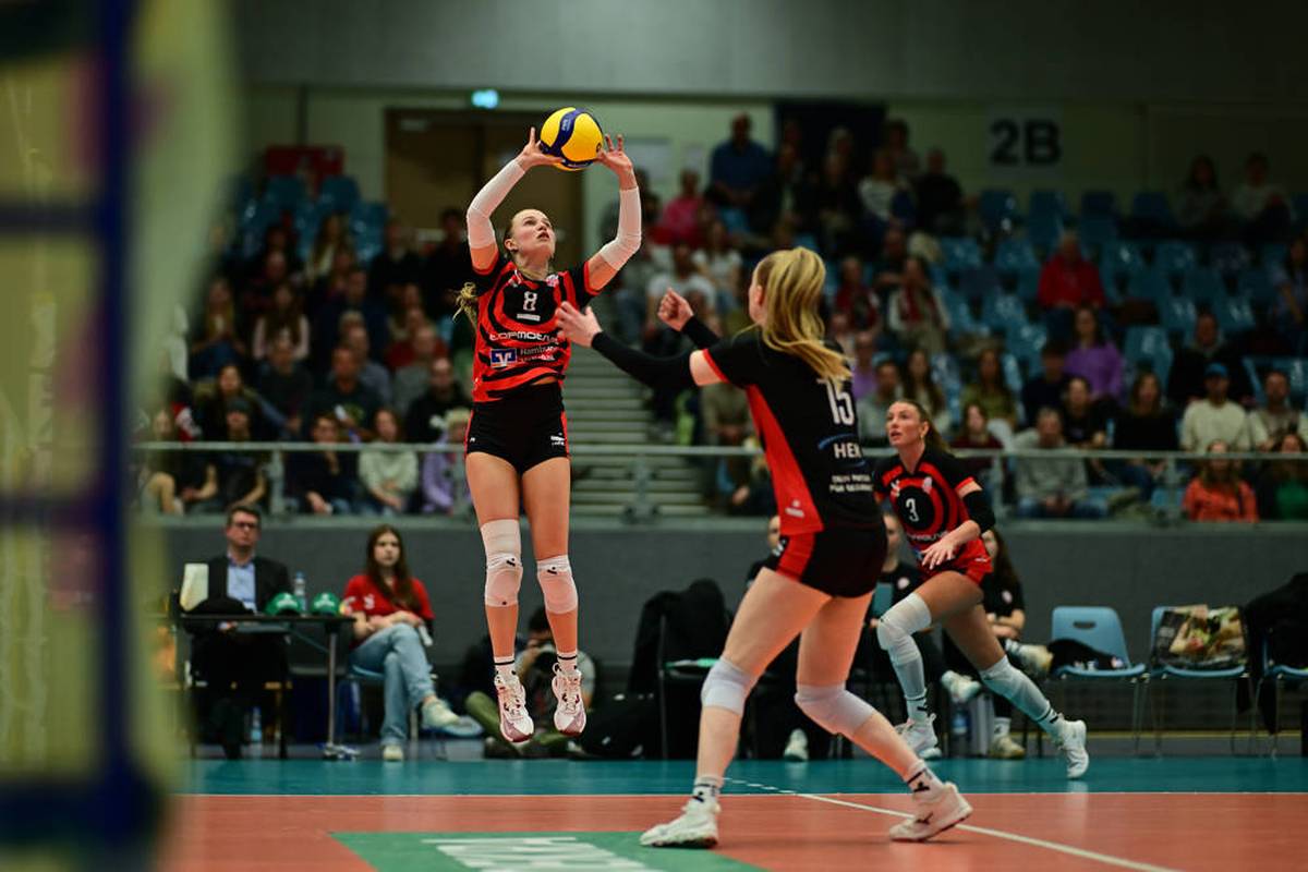 Volleyball-Playoffs LIVE: Suhl - Schwerin, Halbfinal-Spiel 1
