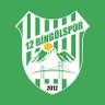 12 Bingölspor