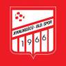 Ayvalikgucu Belediyespor