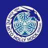 FC Mito Holly Hock